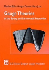 Gauge Theories