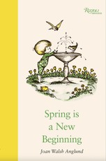 Spring Is a New Beginning