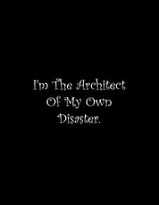 I'm The Architect Of My Own Disaster