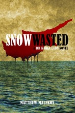Snow Wasted