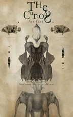 The Curious Artifact