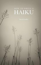 How to Write a Haiku