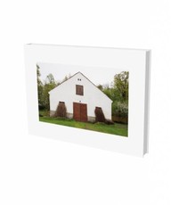 Pia Pollmans: Die Wege der Elisa Kosch