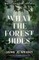 What the Forest Hides