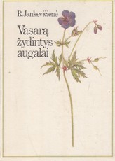 Vasarą žydintys augalai