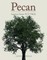 Pecan