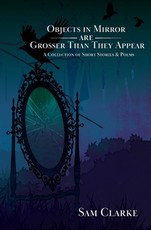 Objects in Mirror Are Grosser Than They Appear
