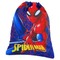 Sportinis maišelis „Marvel Spider-Man“, 30 cm
