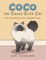 Coco the Cross-Eyed Cat