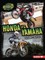 Honda vs. Yamaha