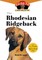The Rhodesian Ridgeback