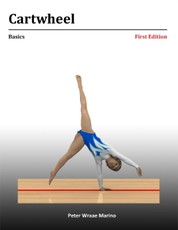 Cartwheel: Basics
