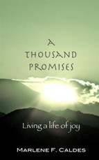 Thousand Promises