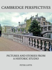 Cambridge Perspectives