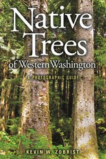 Native Trees of Western Washington