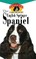 The English Springer Spaniel