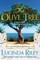 The Olive Tree