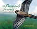 The Peregrine's Journey