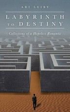 Labyrinth to Destiny