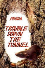 Trouble down the tunnel