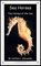 Sea Horses: Tiny Horses of the Sea