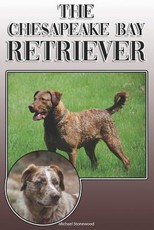 The Chesapeake Bay Retriever