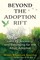 Beyond the Adoption Rift
