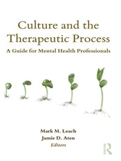 Culture and the Therapeutic Process