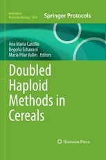 Doubled Haploid Methods in Cereals