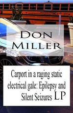 Carport in a Raging Static Electrical Gale