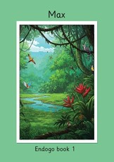 Max Endogo book 1