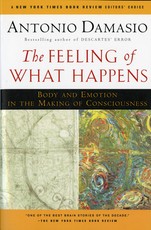 The Feeling of What Happens