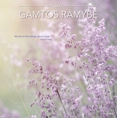 Sieninis kalendorius 2027. Gamtos ramybė