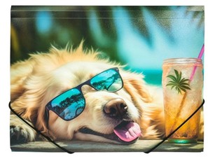 Aplankas su guma A4 CHILLOUT DOG