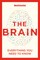 The Brain