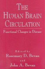 The Human Brain Circulation