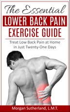 Essential Lower Back Pain Exercise Guide: Treat Low Back Pain at Home in Just Twenty-One Days