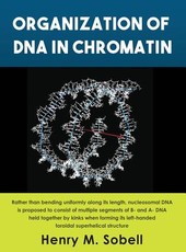 Organization of DNA in Chromatin