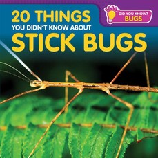 20 Things You Didn't Know about Stick Bugs