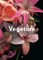 Vegetarė. Apdovanotas prestižine The Man Booker International 2016 premija