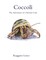 Coccolì - The Adventure of a Hermit Crab