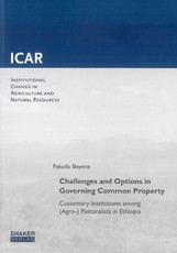 Challenges and Options in Governing Common Property