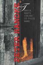 Tamsią naktį išėjau iš tylių namų