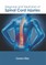 Diagnosis and Treatment of Spinal Cord Injuries