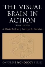 The Visual Brain in Action