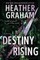 Destiny Rising