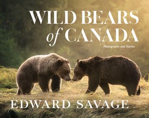 Wild Bears of Canada