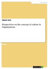 Perspectives on the concept of culture in Organizations