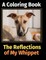 The Reflections of My Whippet