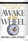 Awake at the Wheel